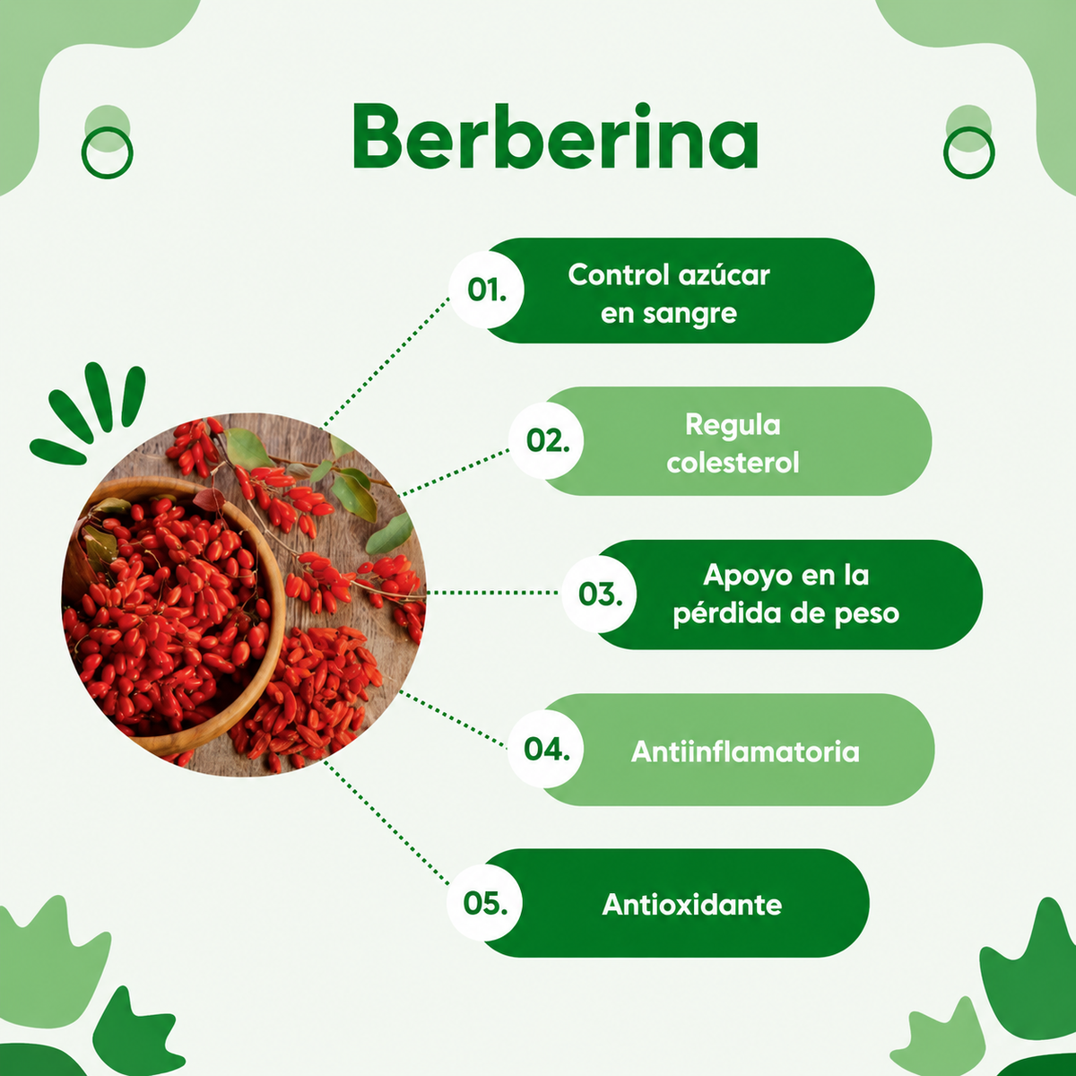 Berberina apoyo al metabolismo de la glucosa