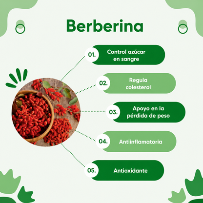 Berberina apoyo al metabolismo de la glucosa